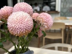 -花苑里咖啡(威远店)