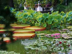 -国家植物园南园