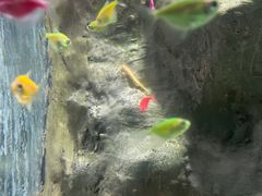 -苏州海洋馆