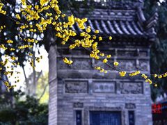 -西安大兴善寺