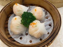 -坚记酒家·佛山老字号·顺德鱼生标准示范店