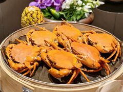 -鹿园 MOOSE(长宁店)