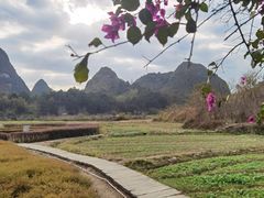 -靖西鹅泉风景区