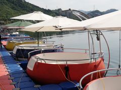 -千岛湖希尔顿休闲艇俱乐部