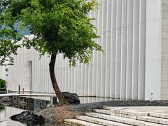 -中国宣纸文化园
