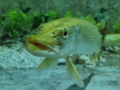 -东方巨龟苑景区