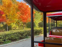 -长春市南湖公园