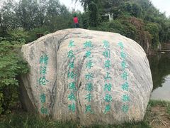 -武清南湖绿博园