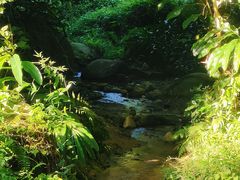 -火炉山森林公园