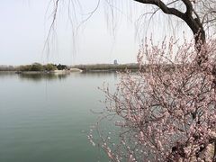-颐和园