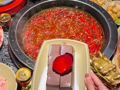-蜀大侠火锅(总府路店)