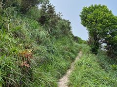 -梧桐山风景名胜区