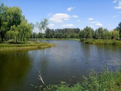 -东郊湿地公园