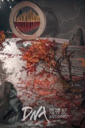 -DNA Wedding 婚礼记(上海店)