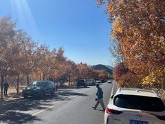 -北京十三陵国家森林公园蟒山景区