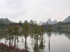 -南宁花花大世界景区