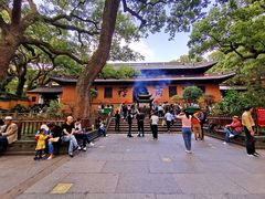 -普陀山风景名胜区-法雨禅寺