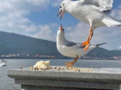 -滇池海埂公园