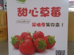 -甜心庄园·甜心草莓采摘园(西青中北店)