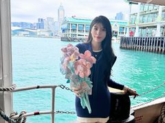 -玩具反斗城(海港城店)