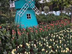 -南宫五洲植物乐园