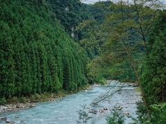 -瓦屋山景区