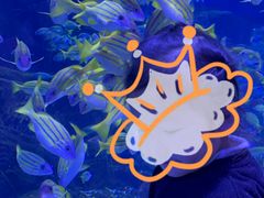 -海合安武汉极地海洋公园