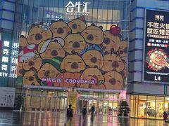 -伊藤洋华堂(温江店)