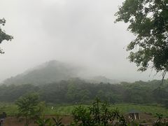 -广州市石门国家森林公园
