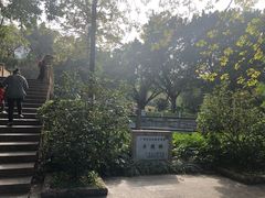 -晓港公园