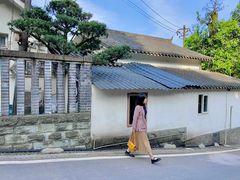 -南山植物园