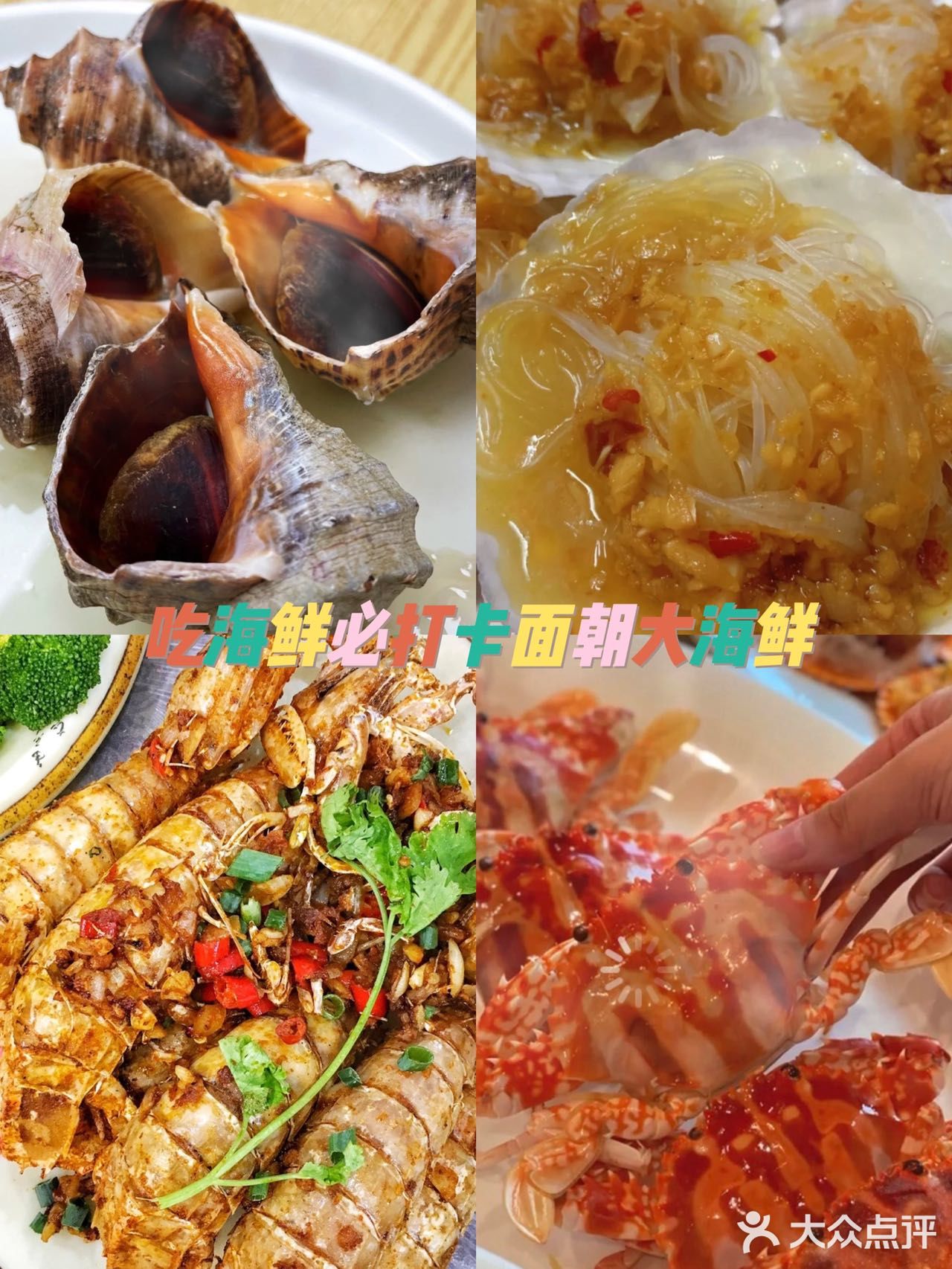  美食博主推荐这家海口老字号面朝大海鲜