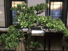 -青雅中餐厅(大连金石滩绿发希尔顿度假酒店)
