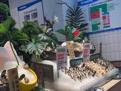 -亚马逊环球美食百汇(新城吾悦广场店)