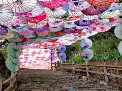 -玉石林风景区