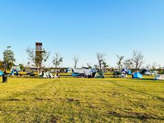 -春花秋色城市公园