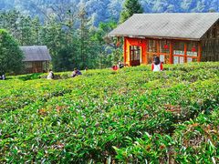 -姑婆山旅游区