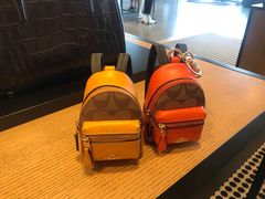 -COACH蔻驰(百联奥特莱斯广场店)
