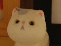-悟白咖啡WoobyCafe
