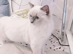 -FULL MOON满月咖啡