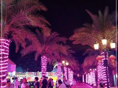 -三亚海昌梦幻海洋不夜城