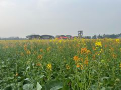 -中国天府农业博览园