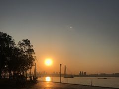 -游心咖啡(青山滨江店)