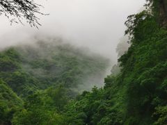 -陕西省红河谷森林公园