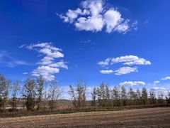 -粘豆包柴火铁锅炖