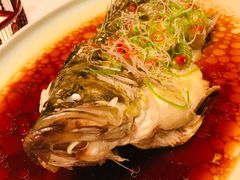 清蒸阳澄湖鲑鱼-宴昆山·私房菜(春晖店)