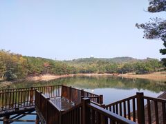 -南京市无想山景区