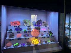 -湖南省地质博物馆