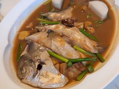 鲳鱼烧年糕-新荣记(新源南路店)