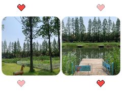 -前小桔亲子创意农场·草莓采摘·露营烧烤